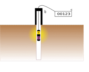 Neutron Probe